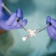 Doctora aplicando una técnica de medicina vascular en su clínica de Barcelona, ejemplo de éxito en marketing sanitario.
